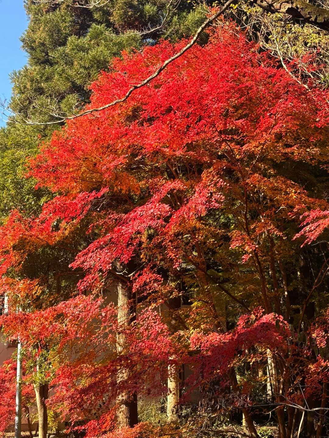 大川戸登山口-三登谷山-雨巻山 周回コースの写真