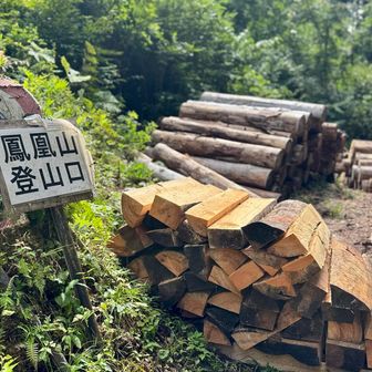 こんな時間からでも簡単に山頂踏める
家から最短コース！
2年ぶり、初日の出以来
https://yamap.com/activities/29030429