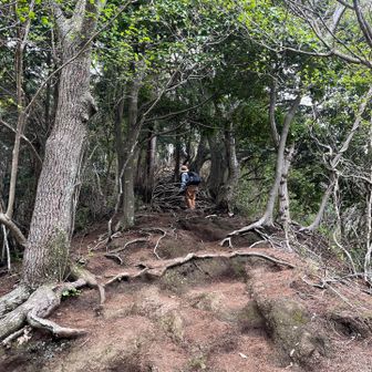 高取山への急登