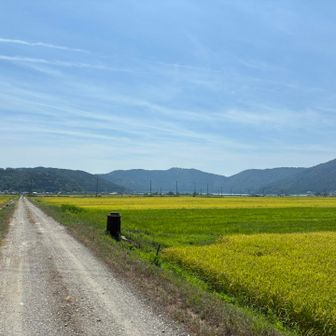 賤ヶ岳方面
