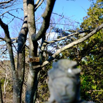 近くの阿字山に登っておきます