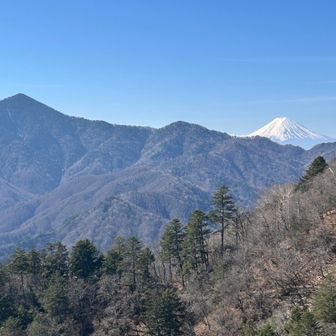 大菩薩嶺と富士山