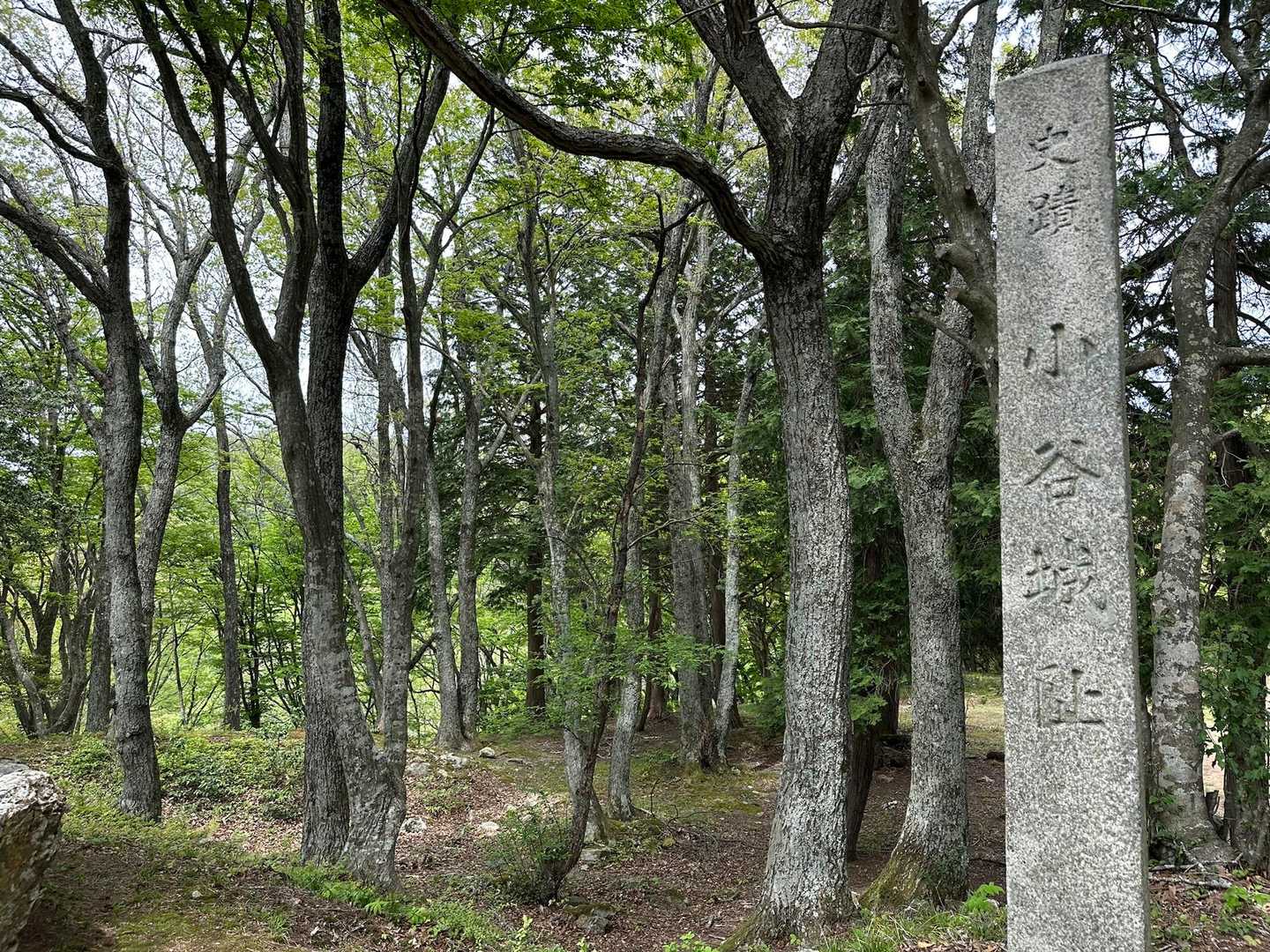 本丸かな？小谷城跡🏯