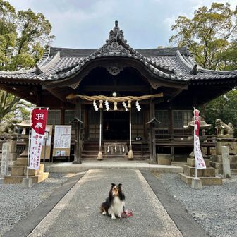 諏訪山⛰️初登頂
枝光八幡宮🙏