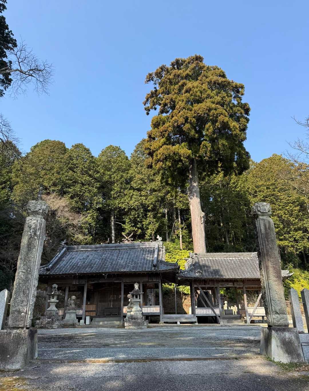 六処神社の右から登山道へ。