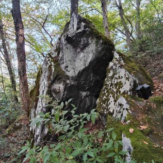 なにかの岩