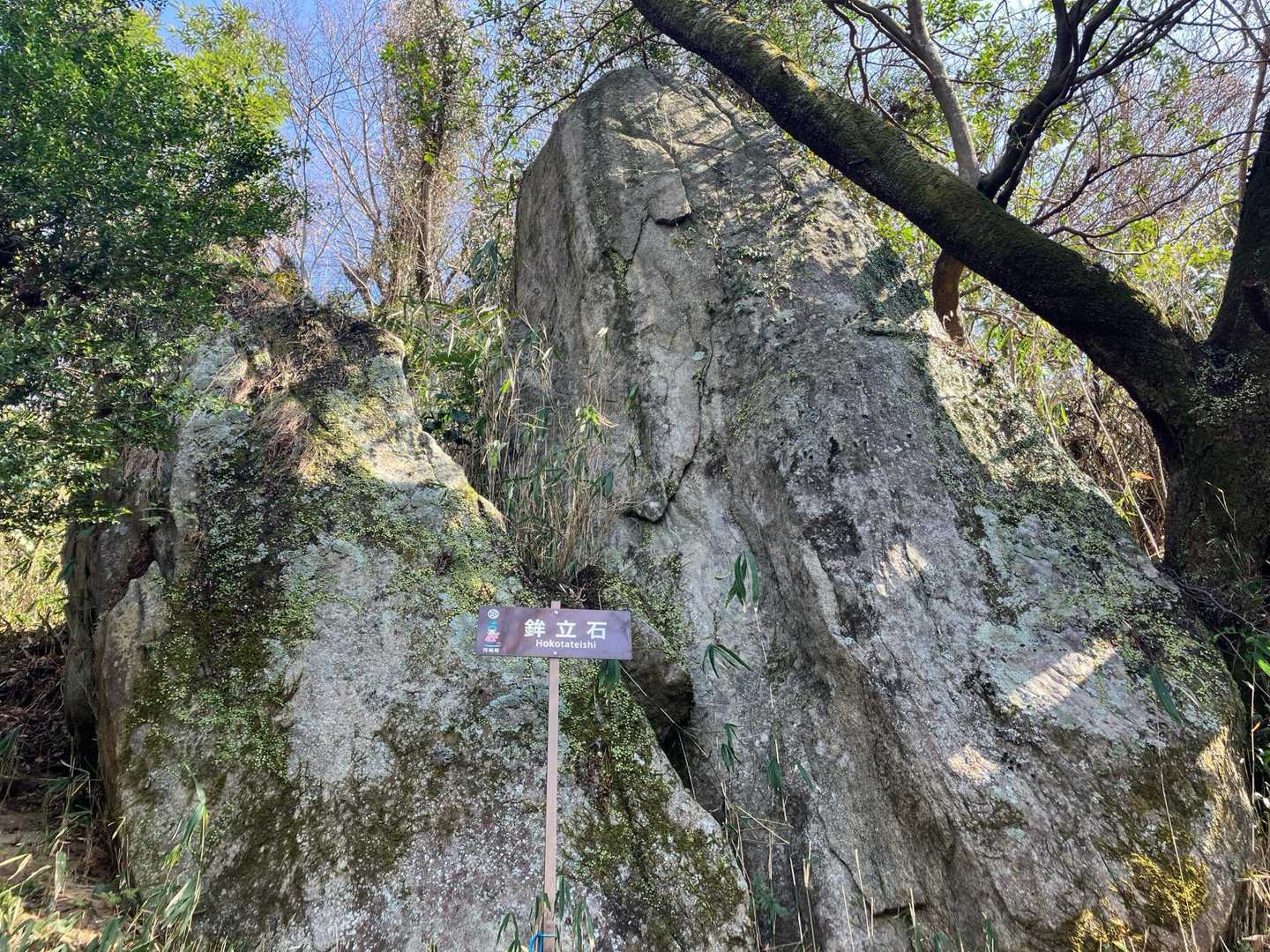 こんなところ