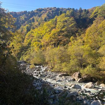 ここの紅葉が1番綺麗