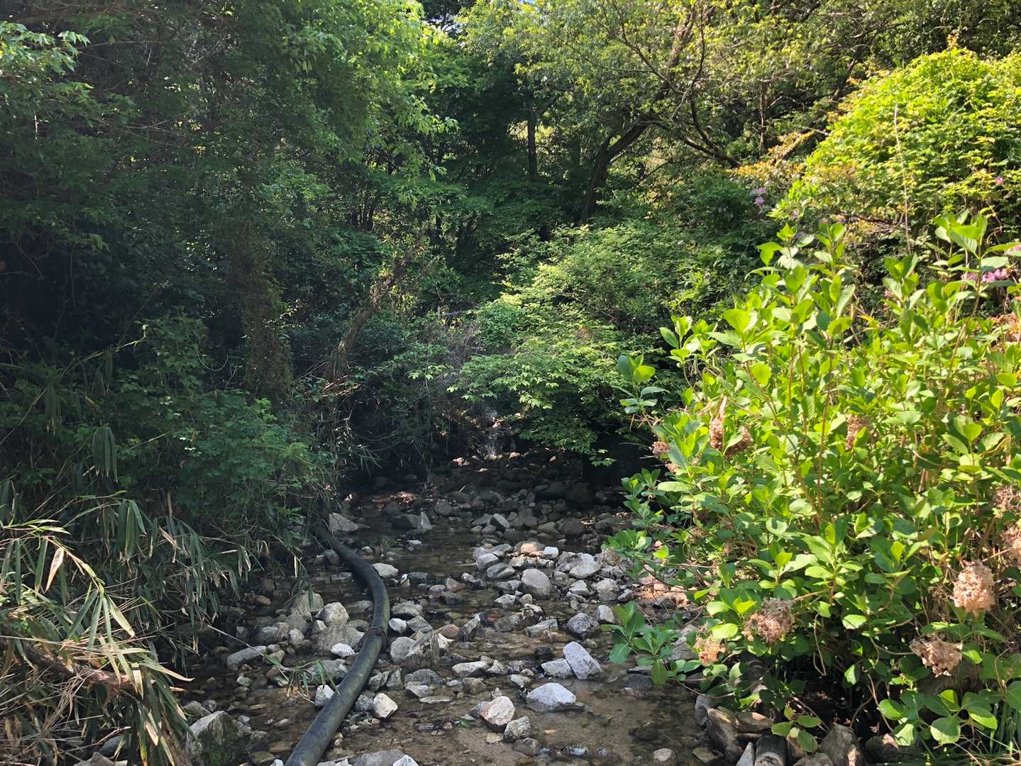 王子公園駅-摩耶山 縦走コースの写真