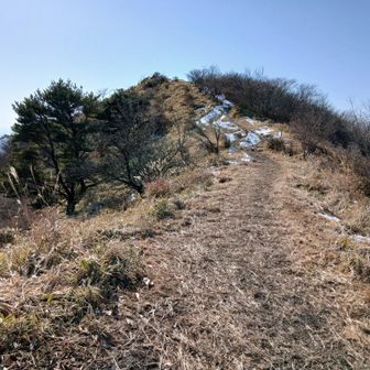 ゆるいアップダウンが気持ちいい