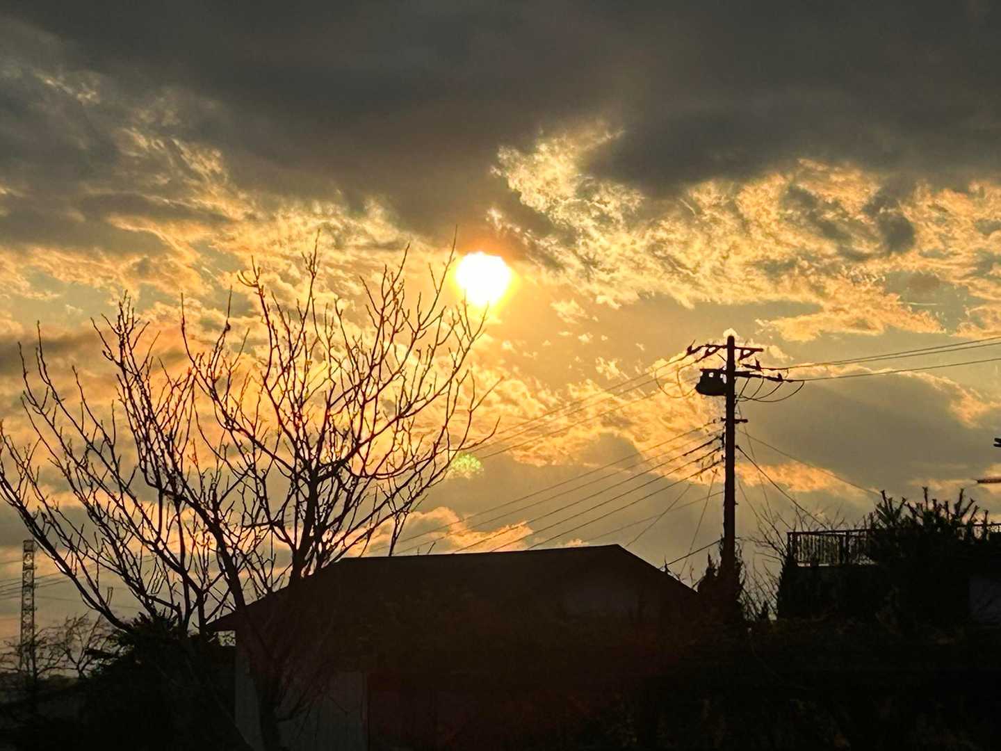 夕焼けがきれい🤩
帰宅して夕食の支度をしないと•••😅
楽しかったぁ
お世話になりました♪