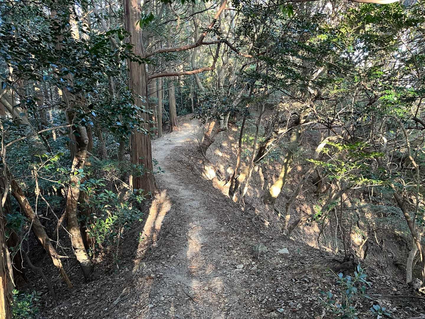 叶岳登山口-叶嶽宮前-鐘撞山-高祖山 周回コースの写真