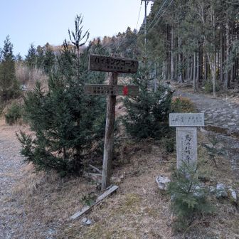 右前から来た。後ろ側へ進む。馬の背平