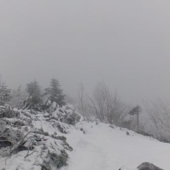 三ッ頭、先の写真、普通は、行かないほうがいいですね。