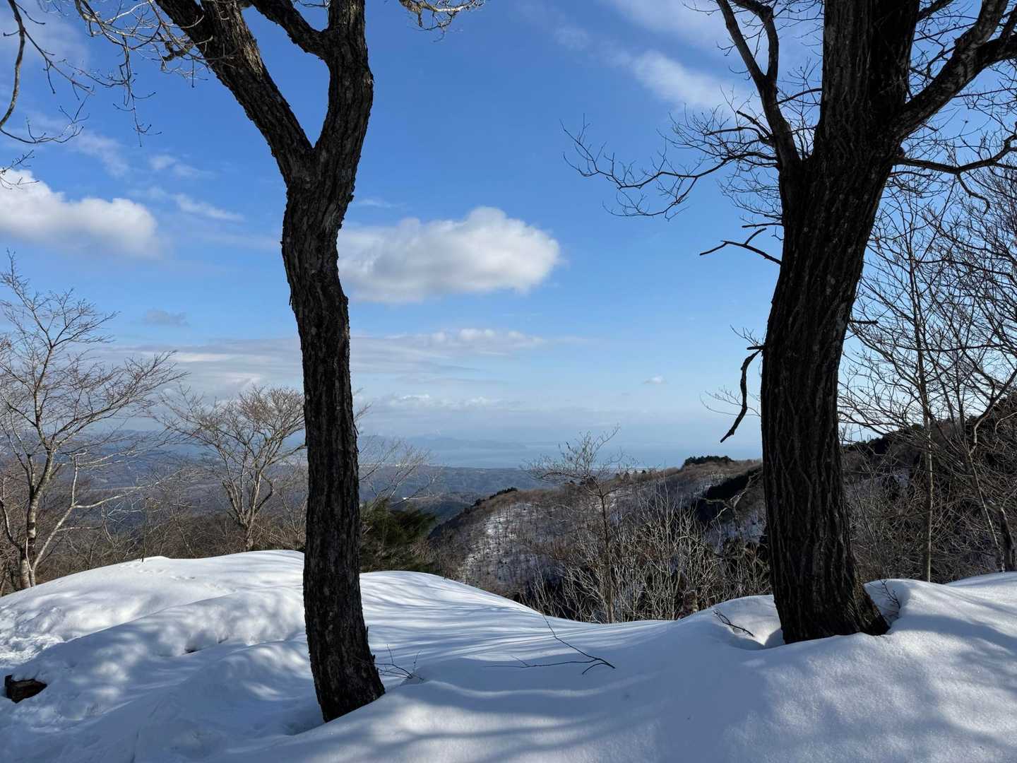 蛇谷ヶ峰 周回コースの写真