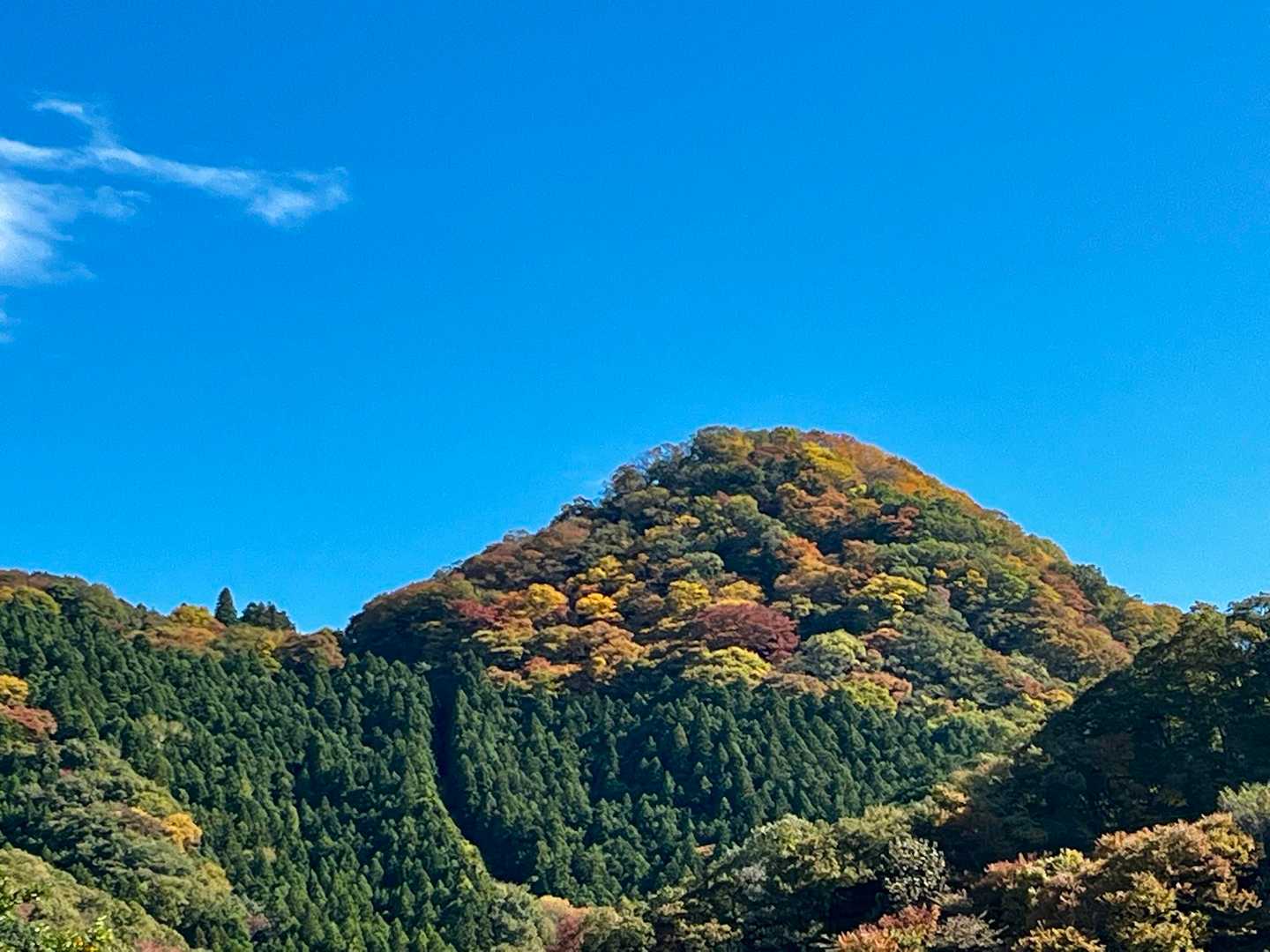 下りてきて…