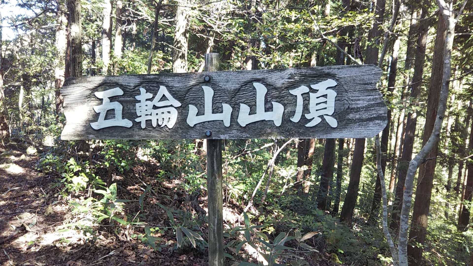 山頂到着