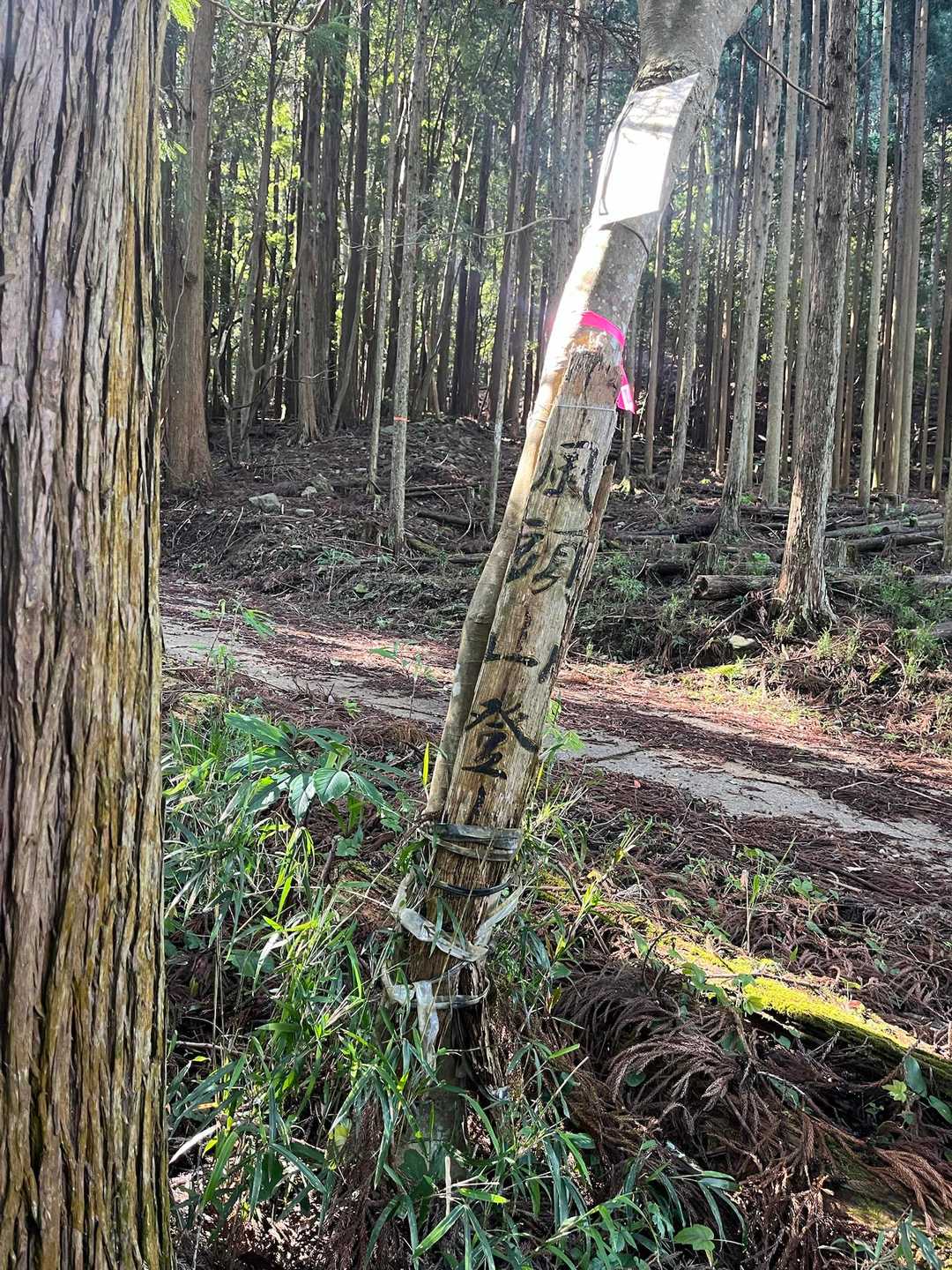 ここから始まります。