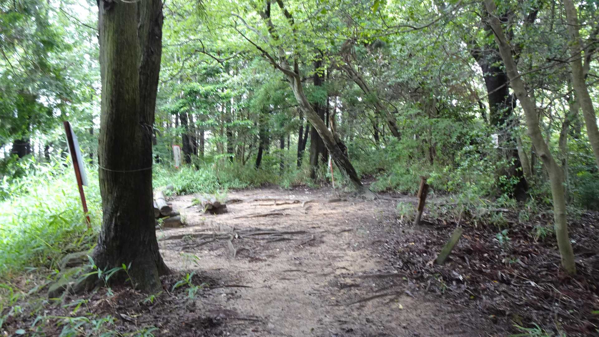 物見山山頂
相変わらず殺風景