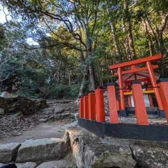 「１９９ｍ山」に直登しようと写真を撮っていた時、途中で追い抜いたおじさんがちょうど上ってきて、

★おじさん：「ここから、（山道を通って）速玉大社に行けるよ👍」と教えてくれました。

★私：「ご親切にありがとうございます🙇」と応え、「いつも上ってるんですか？」と聞くと、

★おじさん：「１日４回上ってるよ💪」と爽やかに仰いました。

１日４回とは、凄いですねぇ😨
また、以前「女坂（石段の巻き道）」で出会ったおじいちゃんは、「雨の日も風の日も、毎日上ってるんじゃぁ☺️」と、裸足🦶で上って行きました。
天気が悪い時はさすがに…とは思うのですが、ノリで話を少し盛っているにしても😅「裸足🦶」というのが、これまた凄いでしょ😱