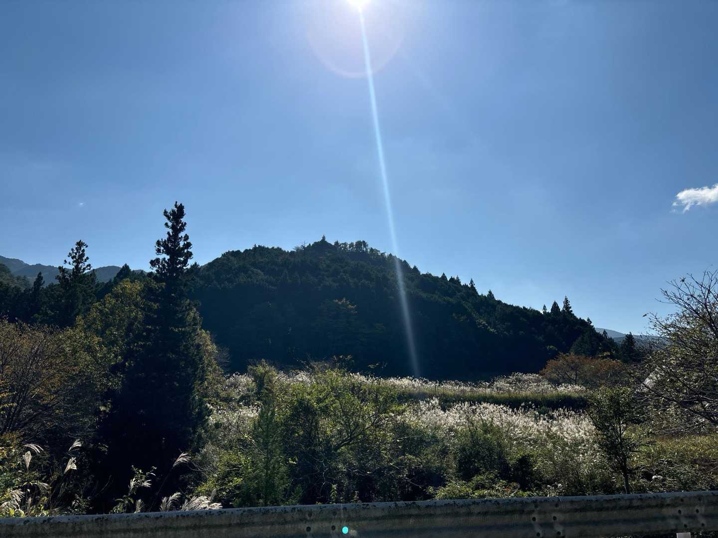 下界は暑い
高見山お疲れ様でした

ありがとうございました