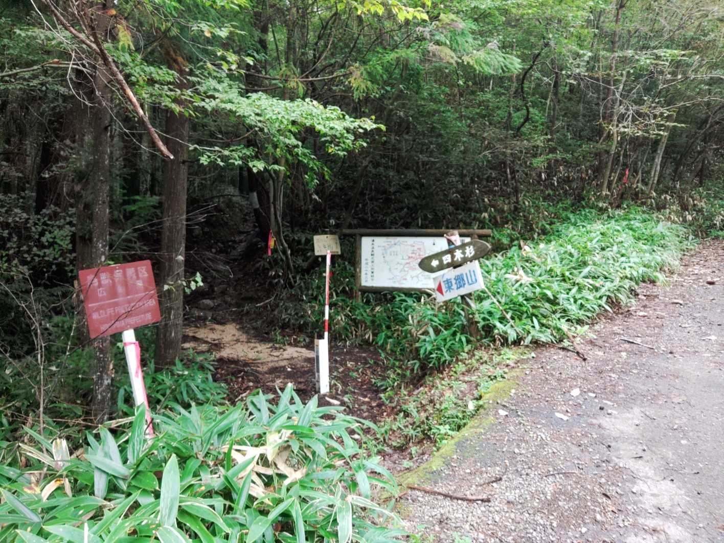 本格的な登山道の始まり👍