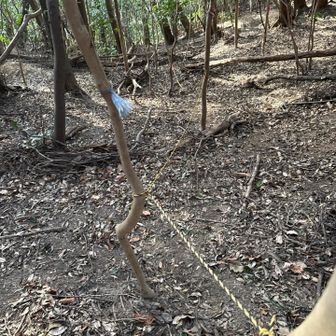 ロープはあるがそれでもキツい。