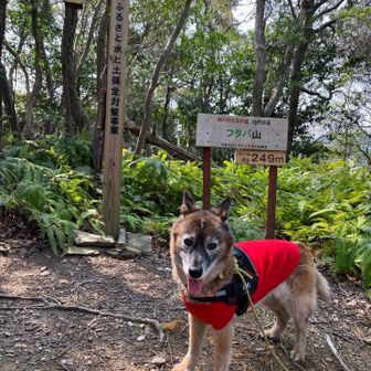 「フタバ山」にてパチリ