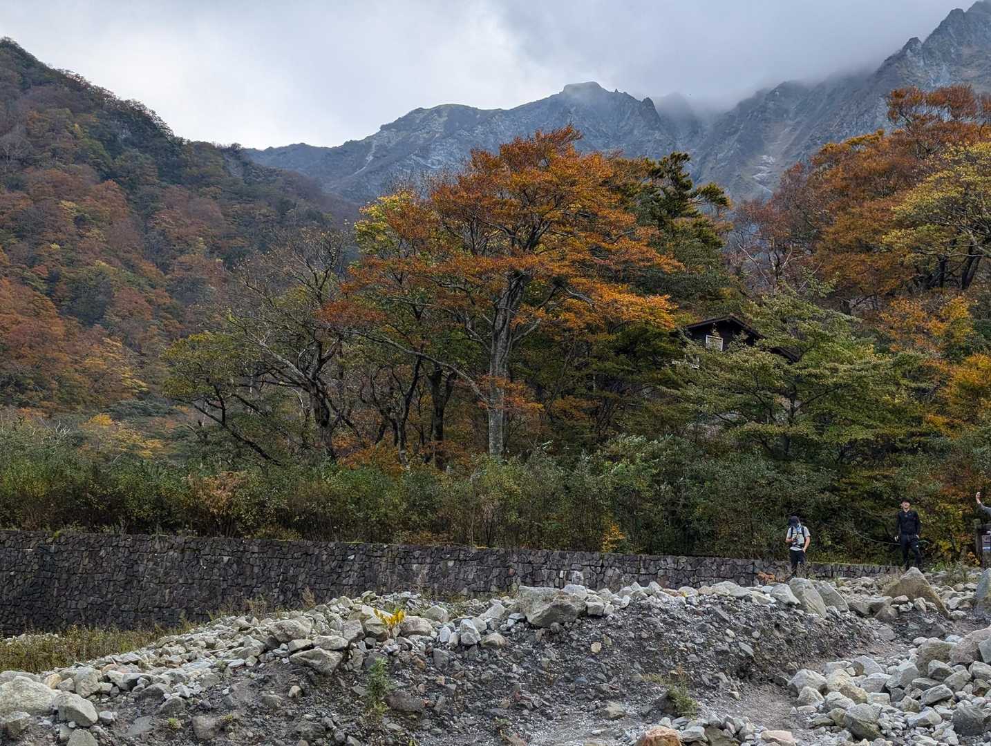 行者登山口-大山 往復コースの写真