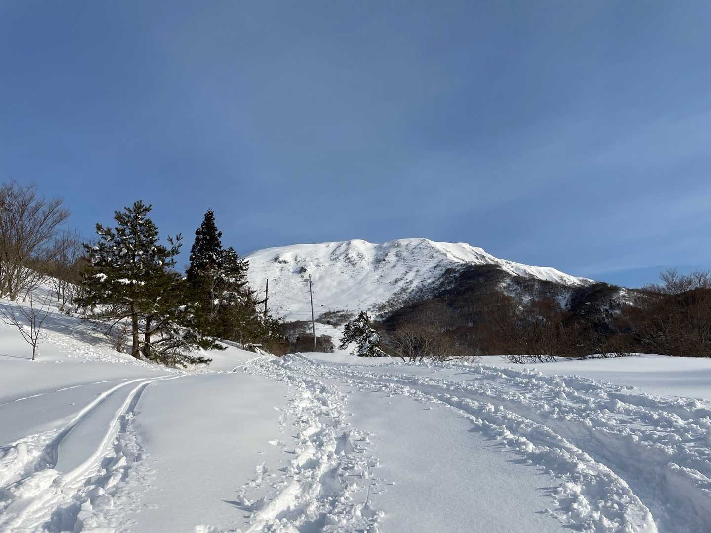 伊吹山最高！