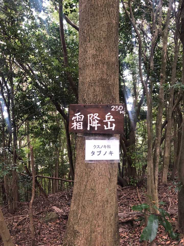 この山頂プレートは初めて見るような気がするけど以前からありました？