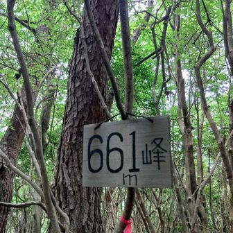 661m峰をゲット
ここまで意外と急登が続きます。