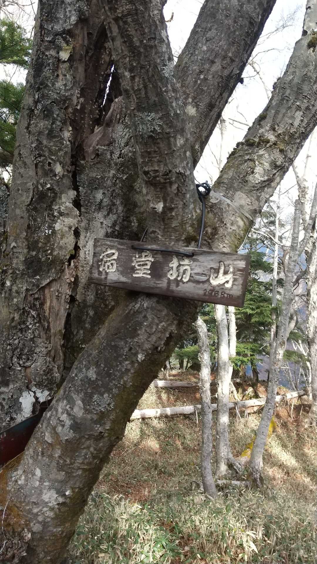 宿堂坊山到着。錫ヶ岳からのこの区間長く感じました。