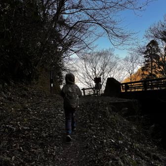 ようやく管理道