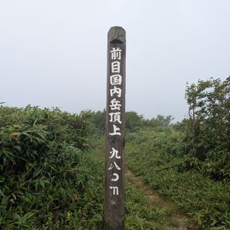 前目国内岳　初登頂🎉

登山道は前日の雨でベチャベチャ
滑りまくり💦