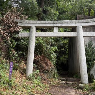 白雲橋コースで