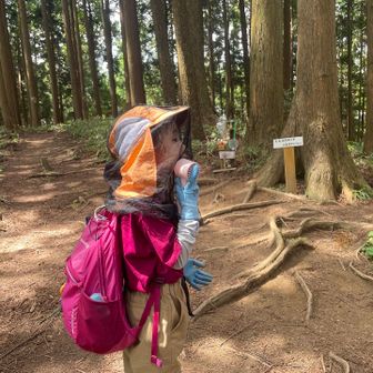 文殊中尾根、東尾根の分岐です⛰️