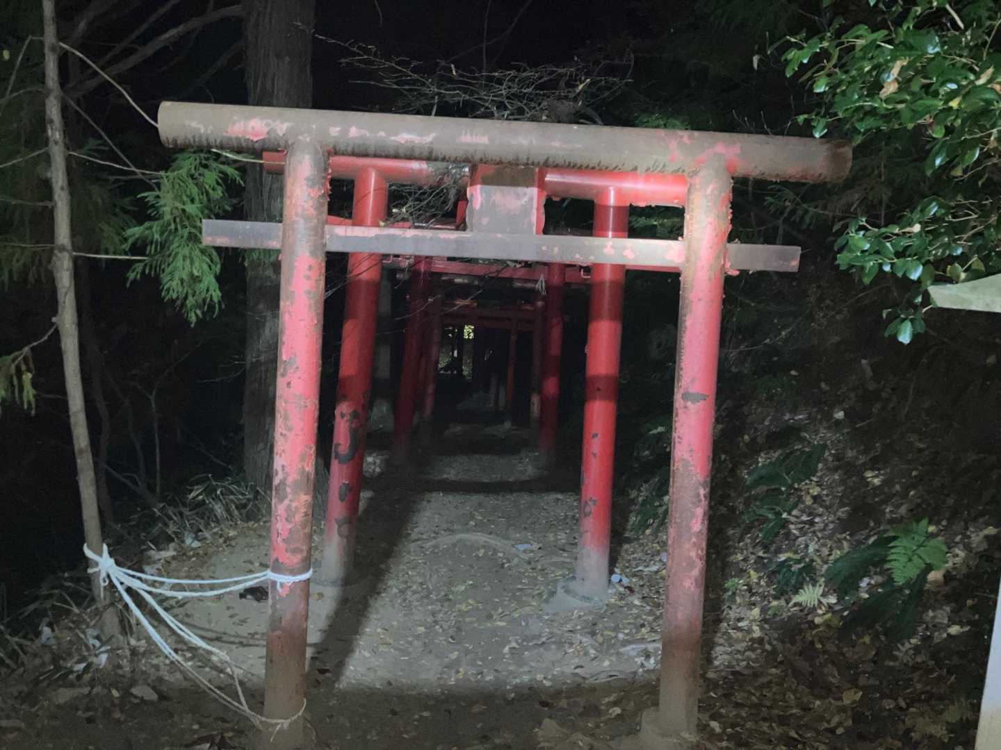 夜の鳥居は雰囲気ありますね。。。