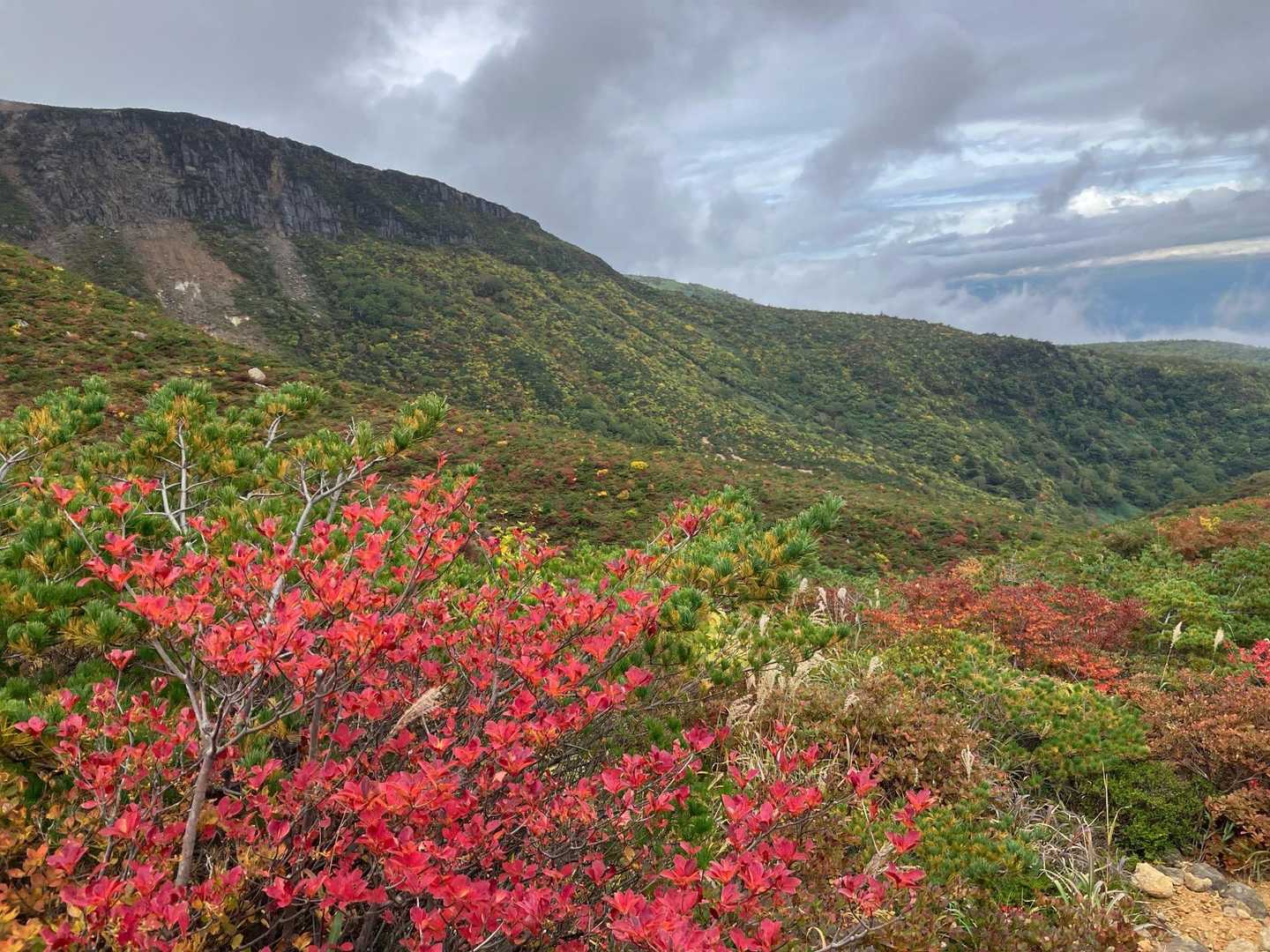 あだたら山 奥岳の湯-奥岳登山口-薬師岳-安達太良山-矢筈 周回コースの写真