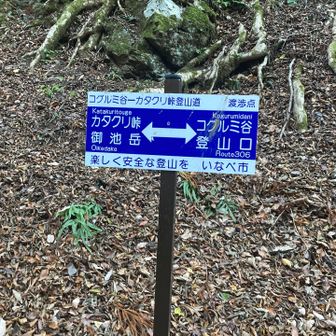 カタクリ岳方面へ