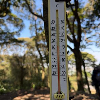 暖かいね☀️もう春だ❣️