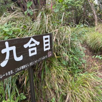 本来の登山道に合流