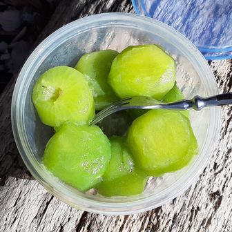 今日の山頂飯は自家製キウイです12月に収穫、リンゴを使って1カ月かけて追熟させた物です美味しゅうございました