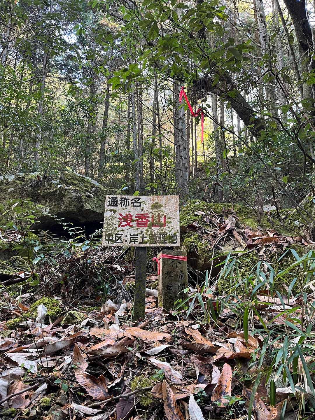 山頂にプレートはなかったけど、通称名『浅香山』の看板。