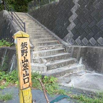 弥生の広場駐車場からスタート🚶
この駐車場になかなか辿り着けず、飯野山の周りを20分くらい車でさまよいました。。。