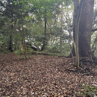 灯明山！

灯台的な何かがあったのかな？