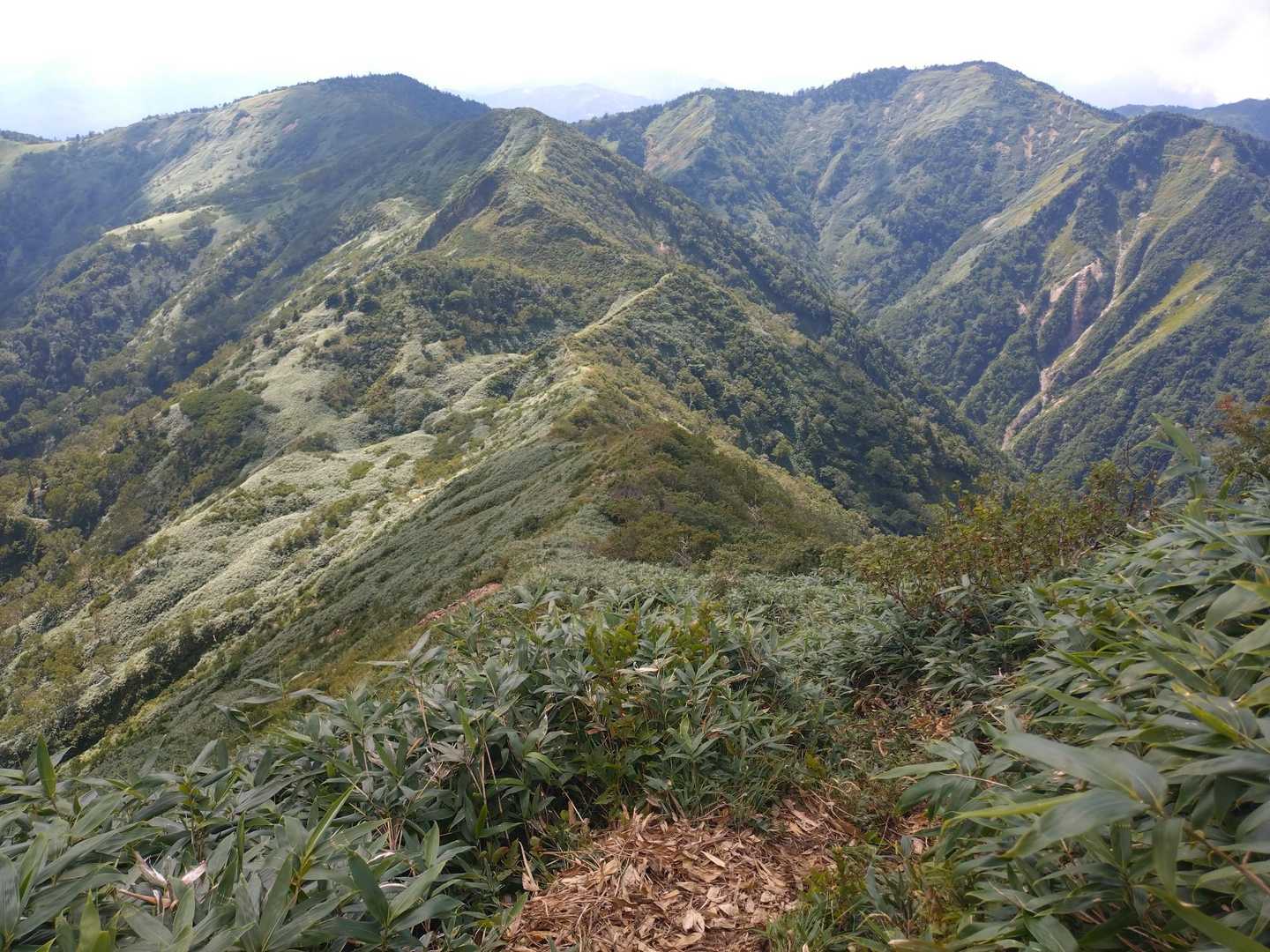 地蔵峠-地蔵山-堂岩山-猟師の頭-白砂山 往復コースの写真