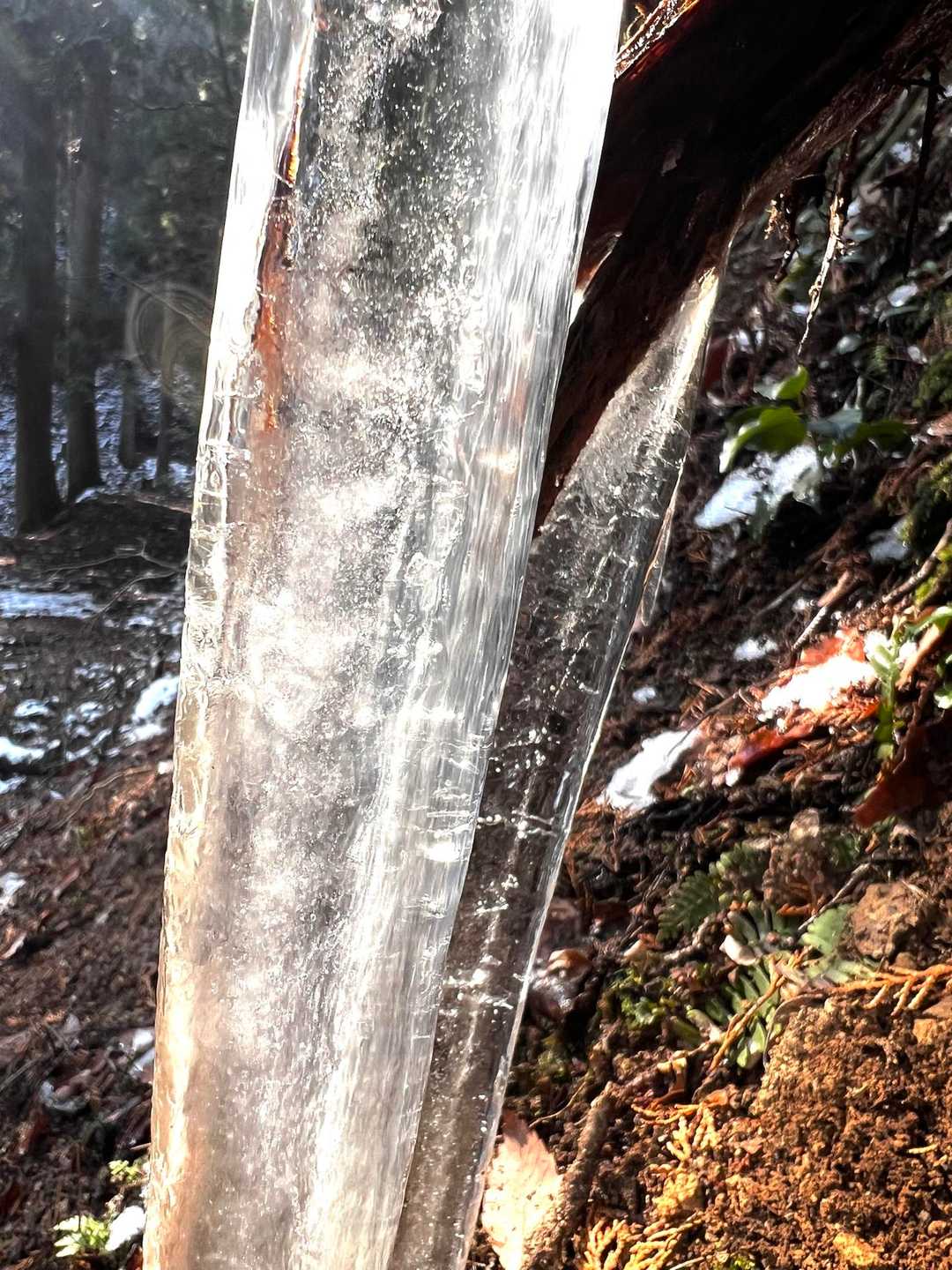 氷柱も解けます🧊💦