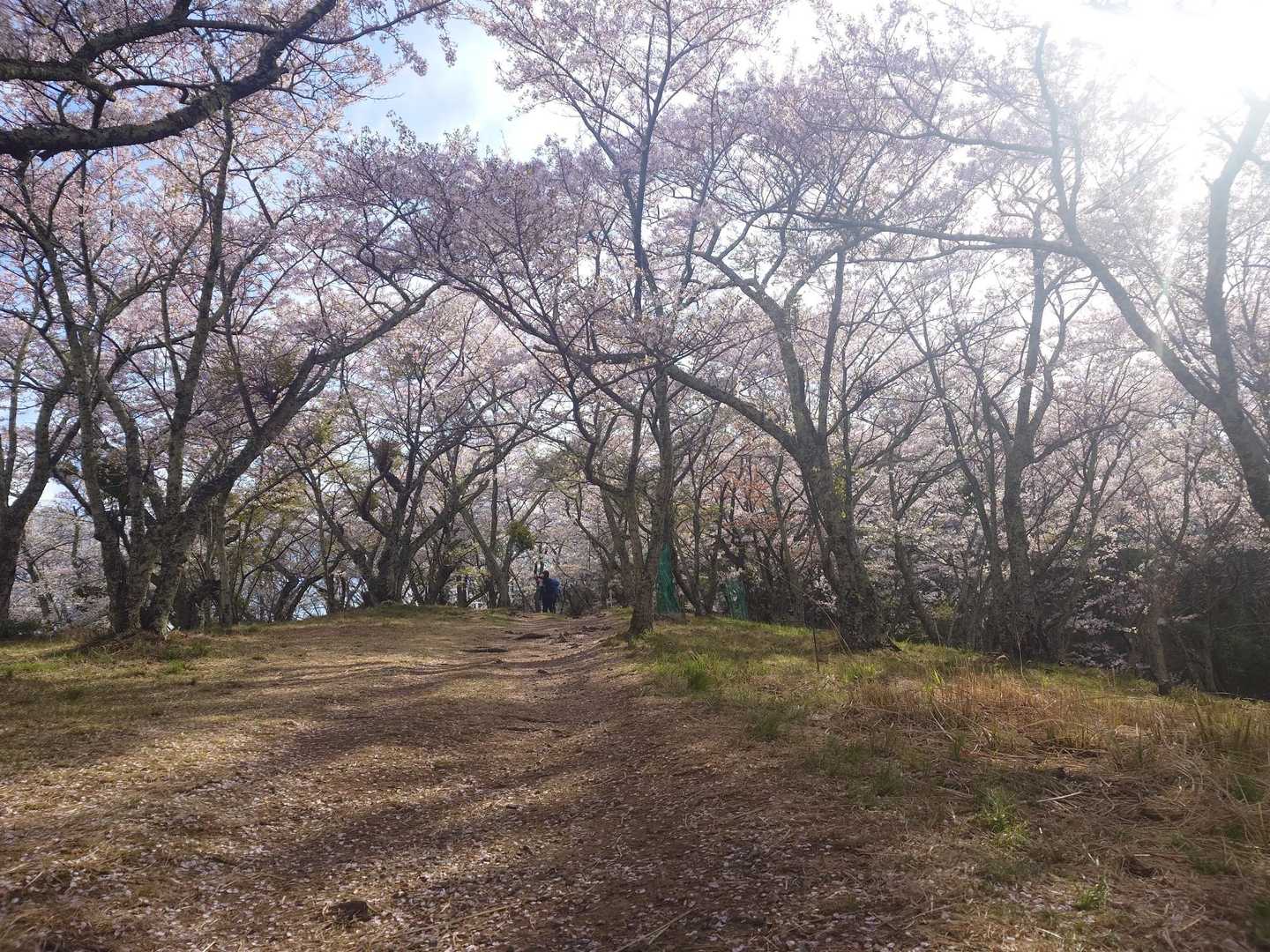 光城山-烏帽子峰-長峰山 縦走コースの写真