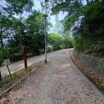 下りて来て